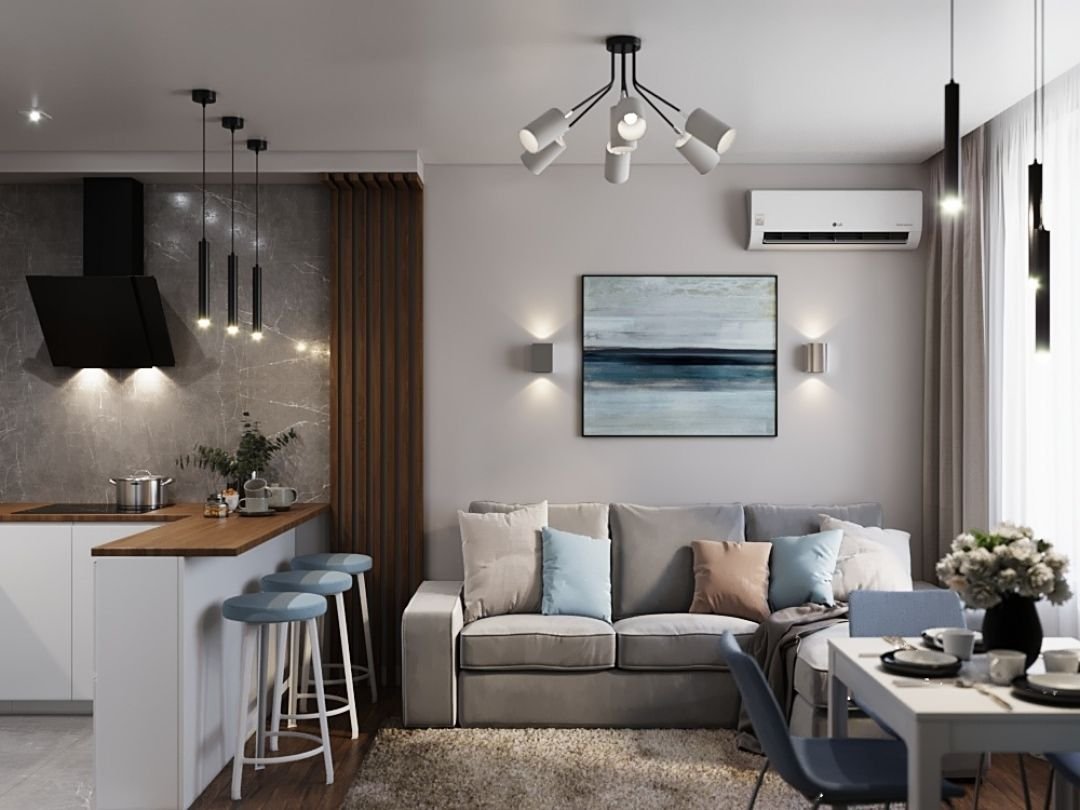 Кухня-гостиная 20 кв.м евродвушка