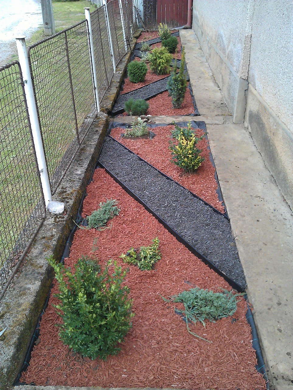 Мульчирование роз керамзитом