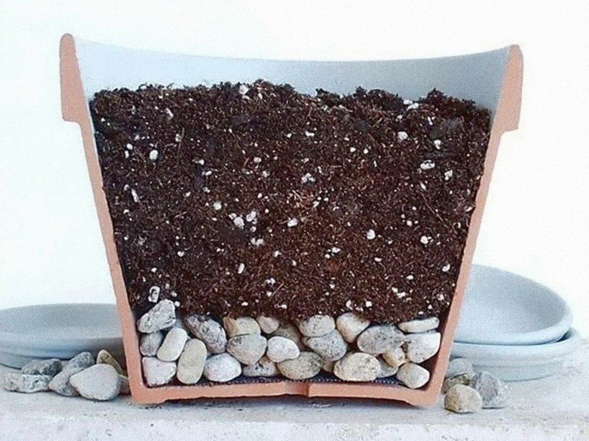 Керамзит для суккулентов