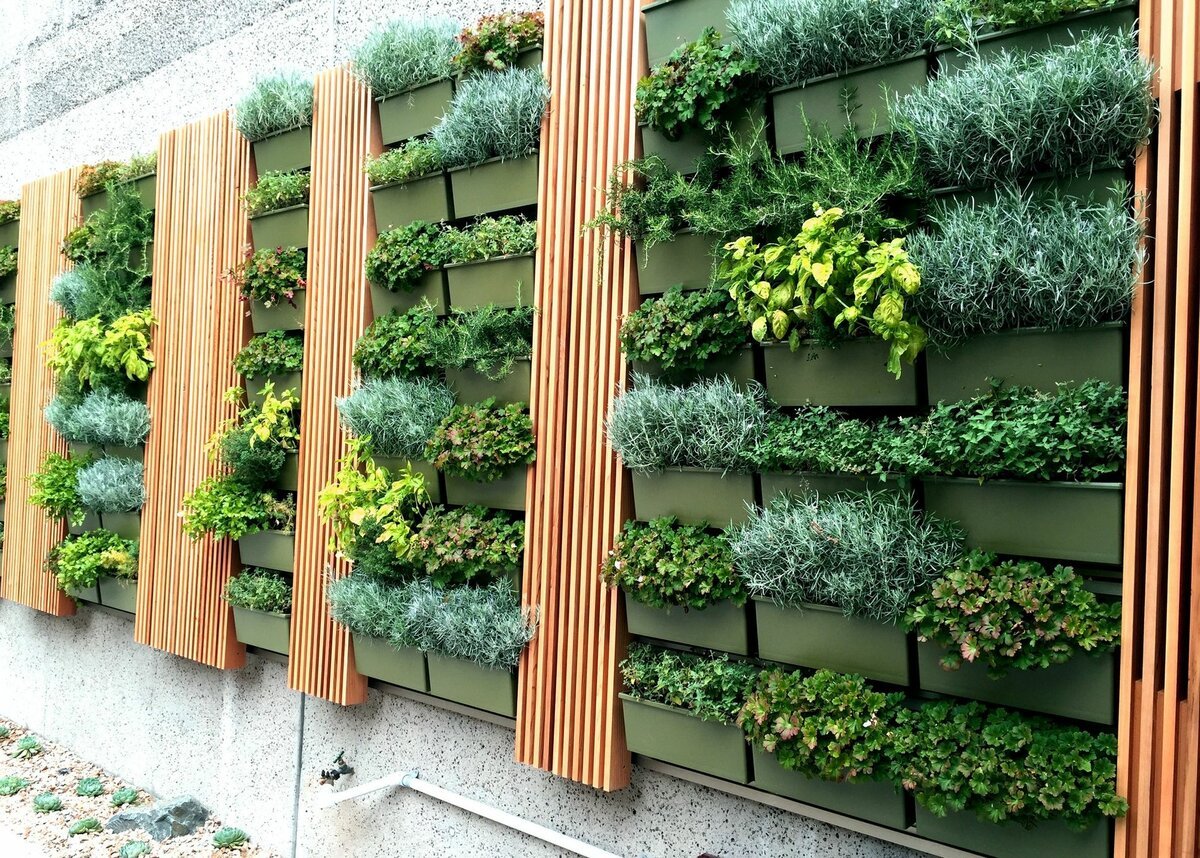 Огород на стене