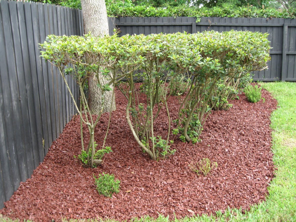 Лесная мульча