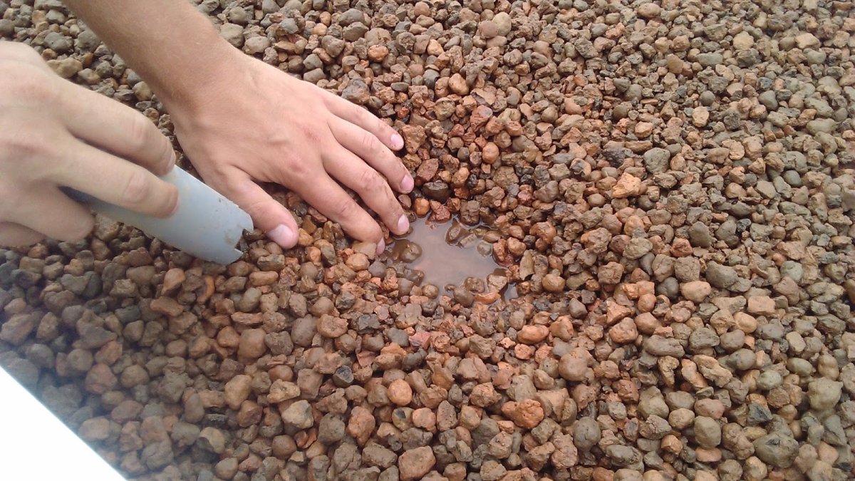 Керамзит для мульчирования клумбы