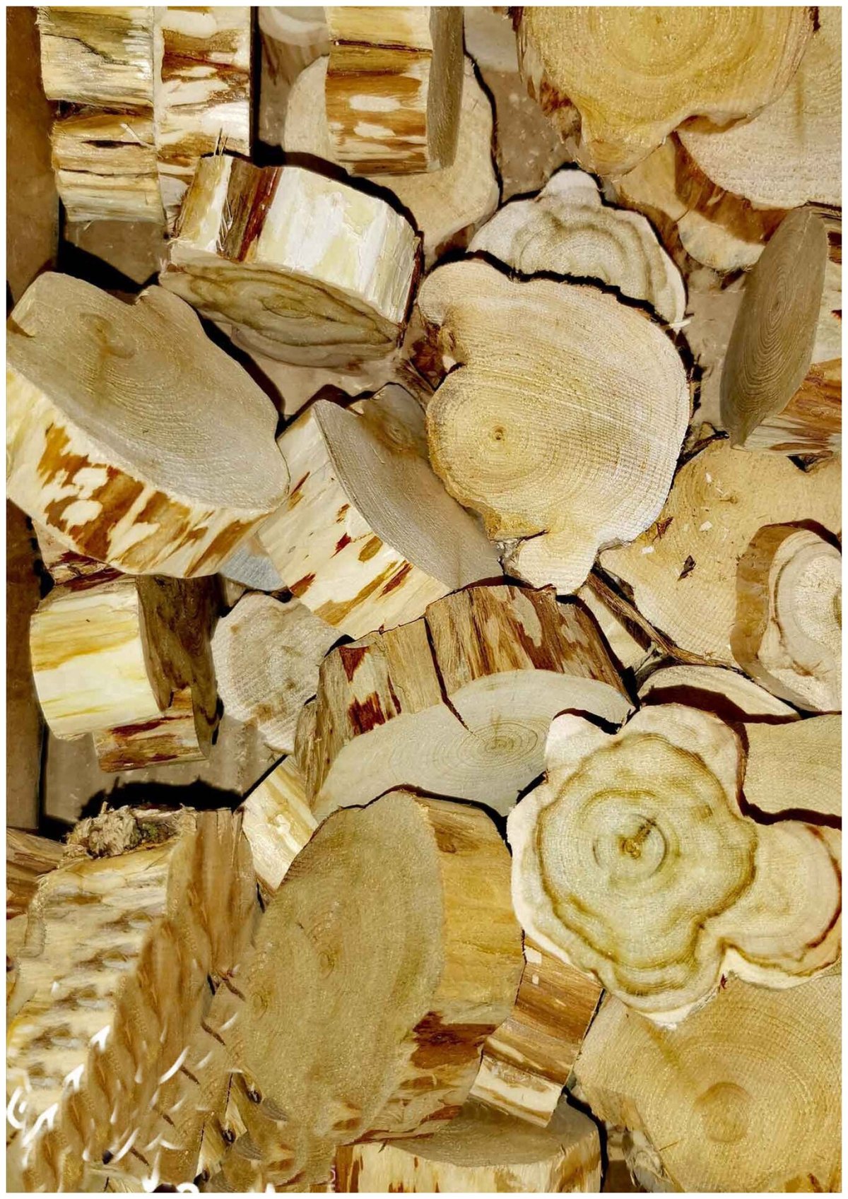 Спилы можжевельника в бане