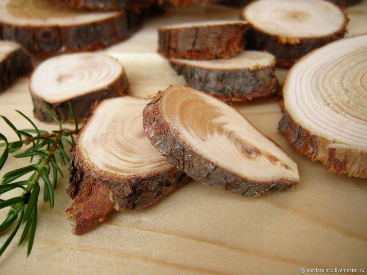 Можжевеловые спилы