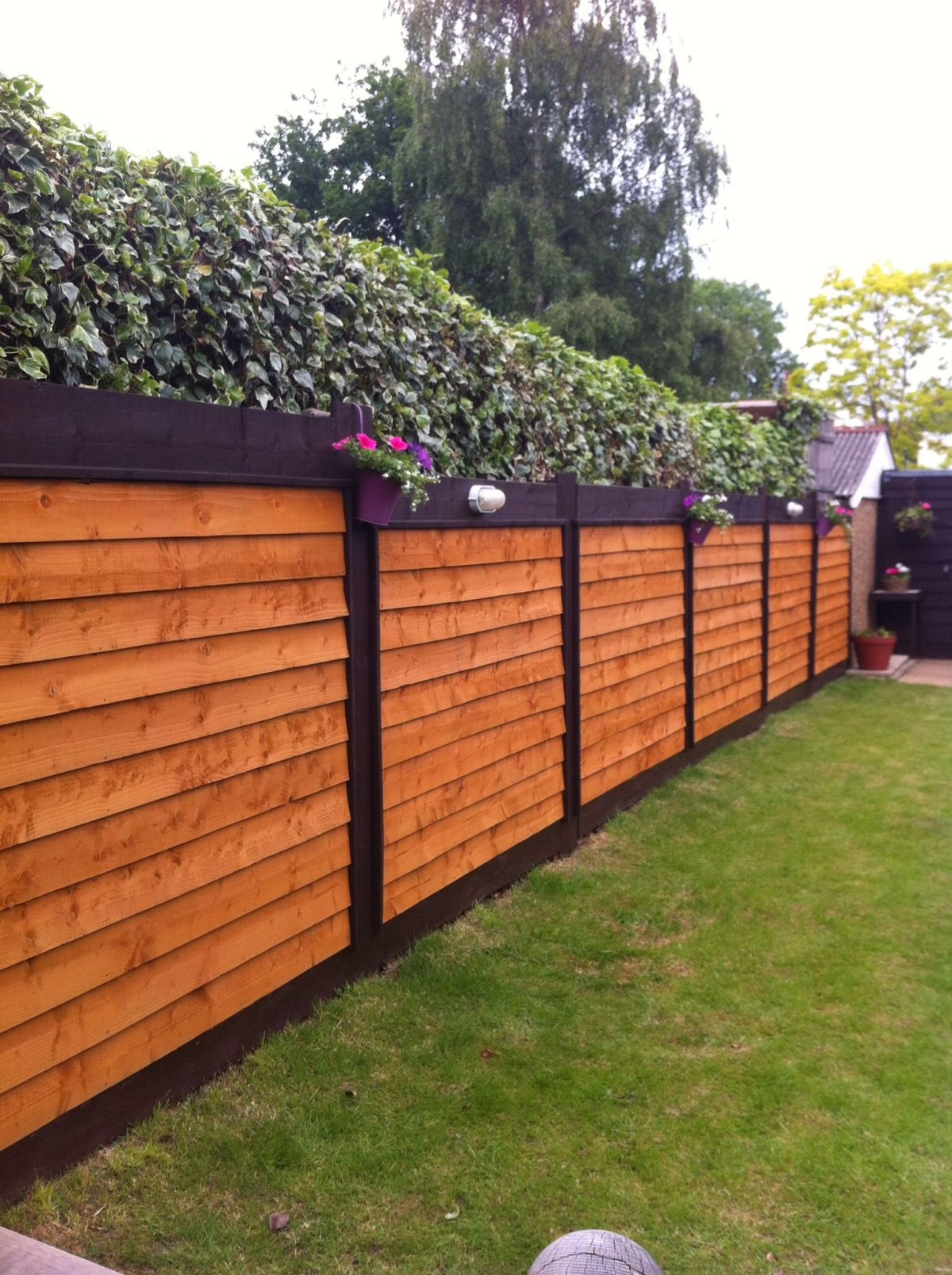 Деревянный забор