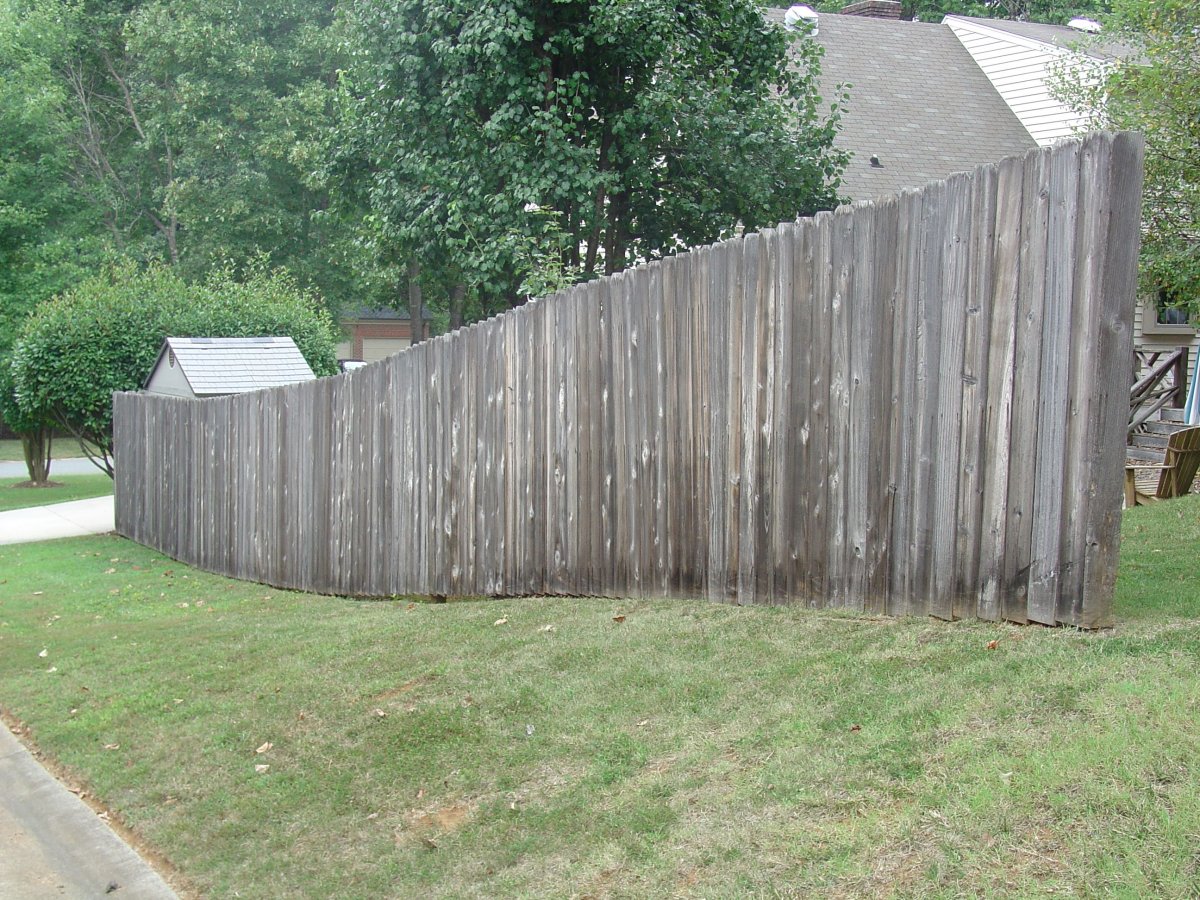 Фрэнсис забор серый