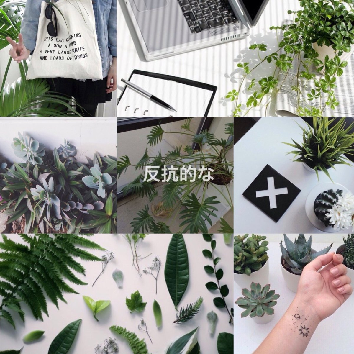 Эстетика Инстаграм зеленый