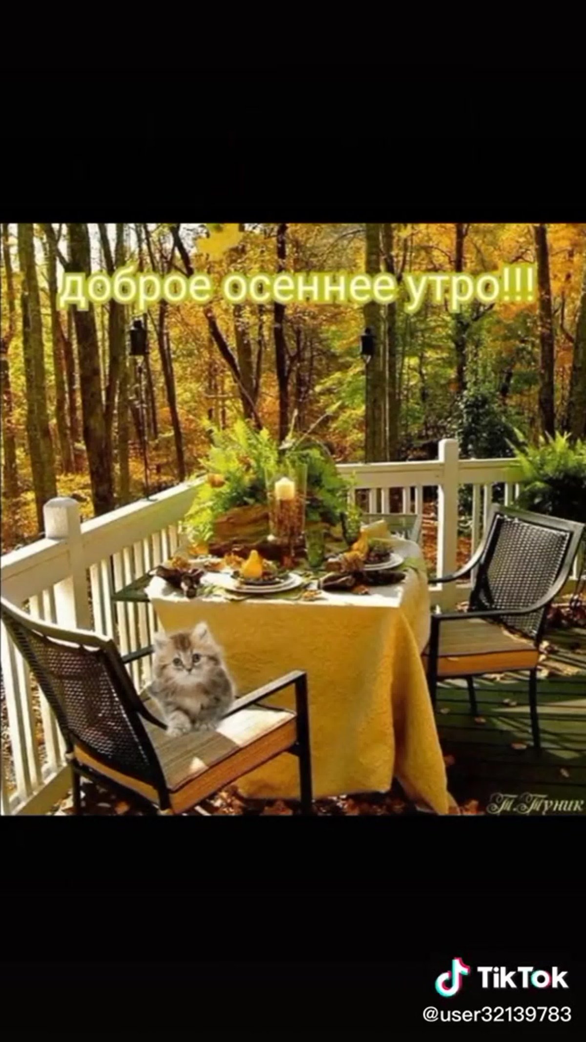 Уютная веранда на даче осенью
