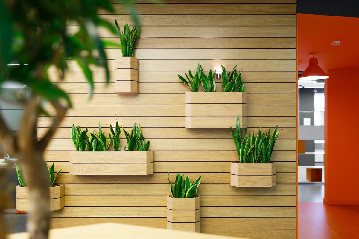 Цветы на стене в горшках