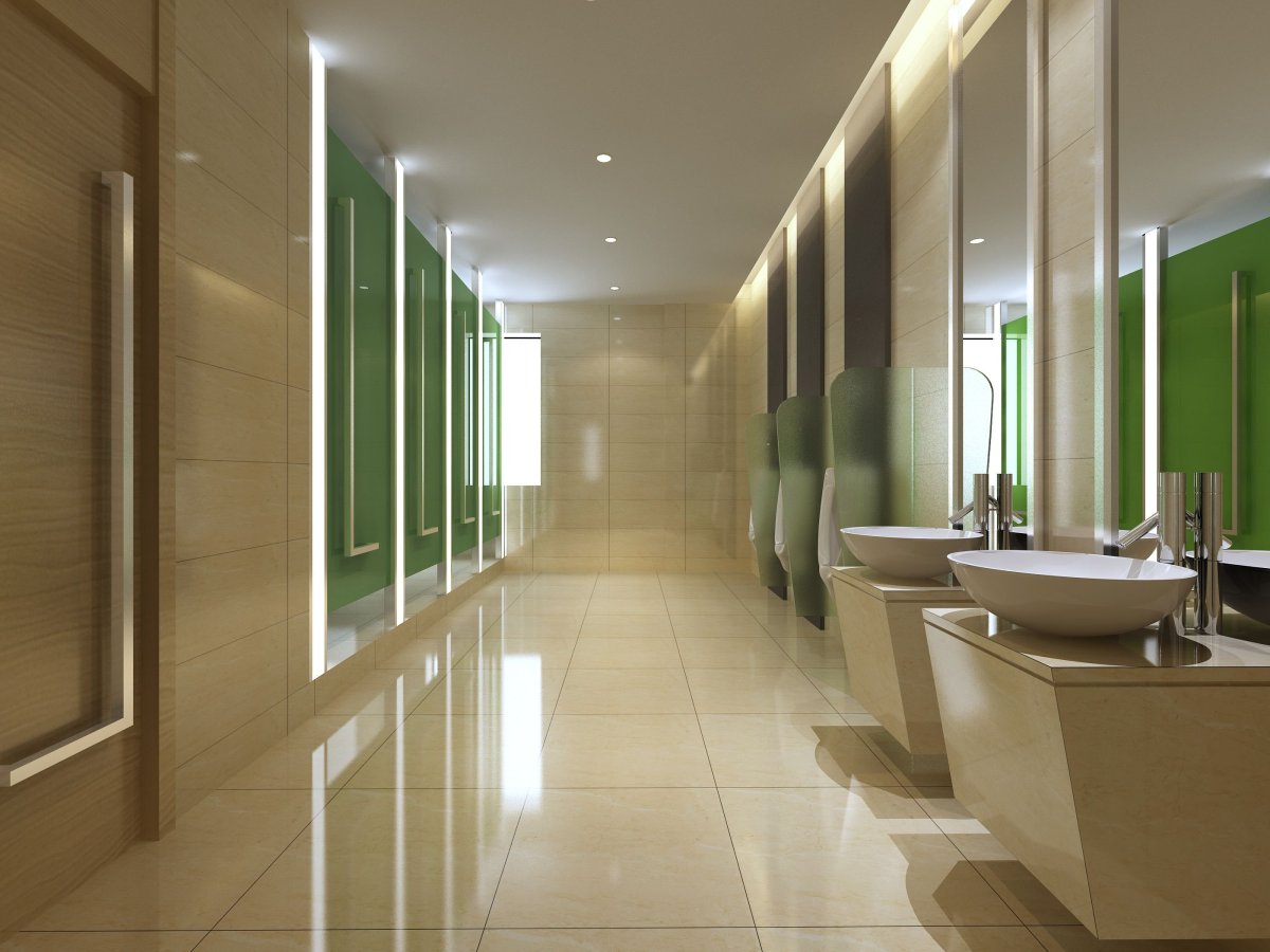 Интерьер общественного санузла