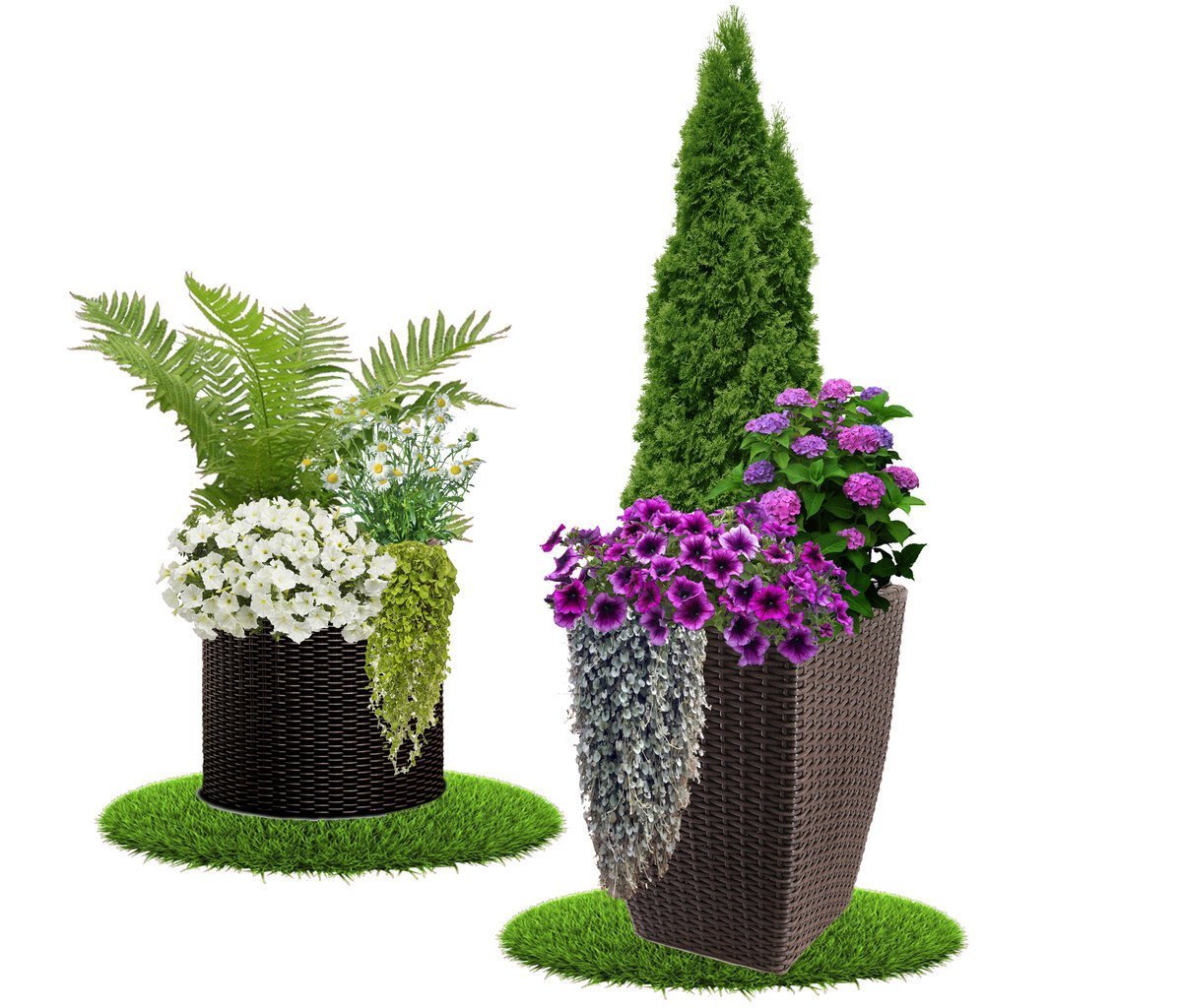 Композиции из цветов в кашпо