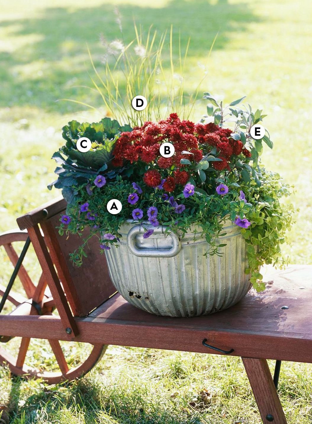 Цветочные композиции в кашпо