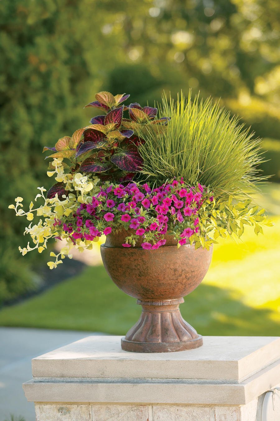 Композиция в кашпо