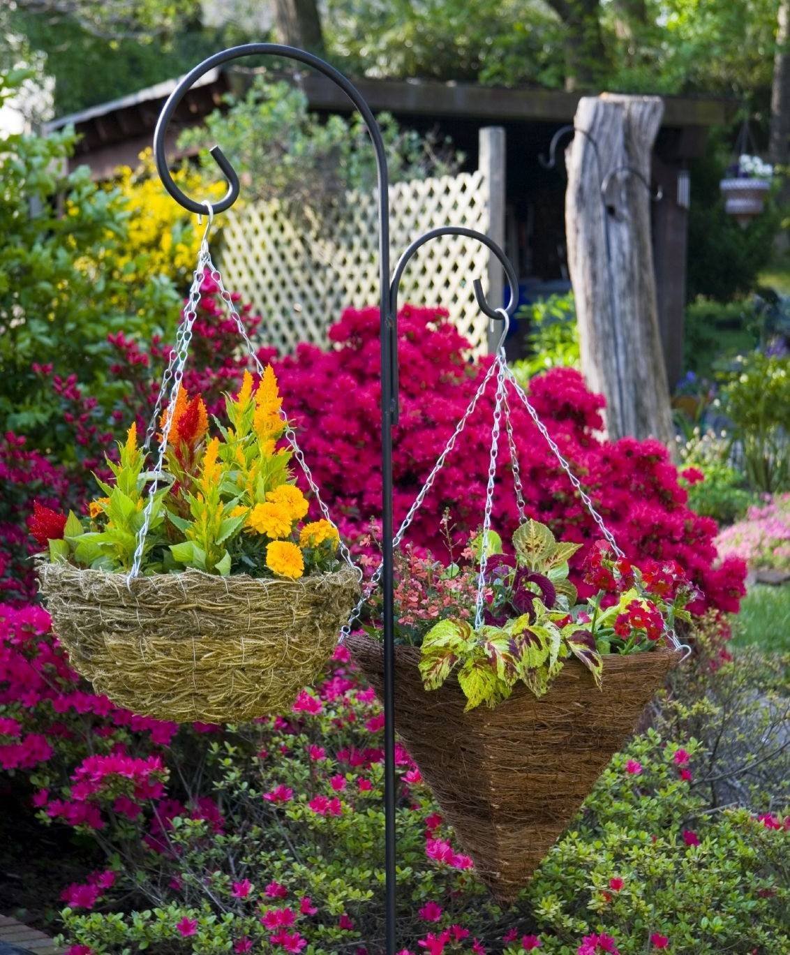 Интересные клумбы