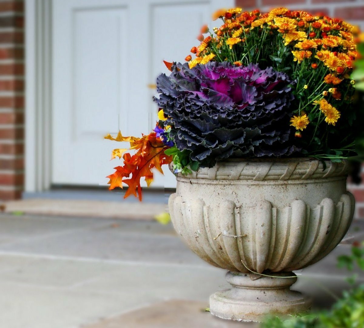 Цветочные композиции в вазонах