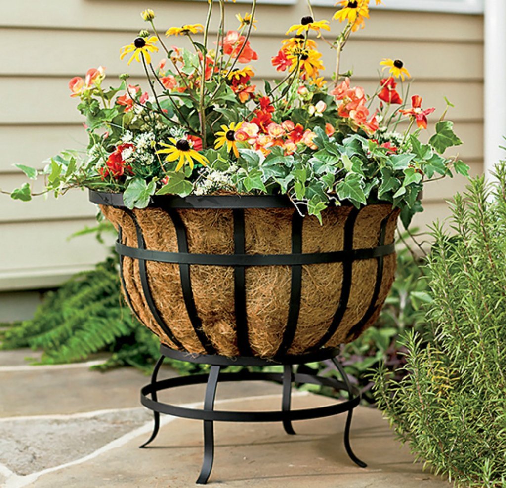 Цветы для уличных вазонов