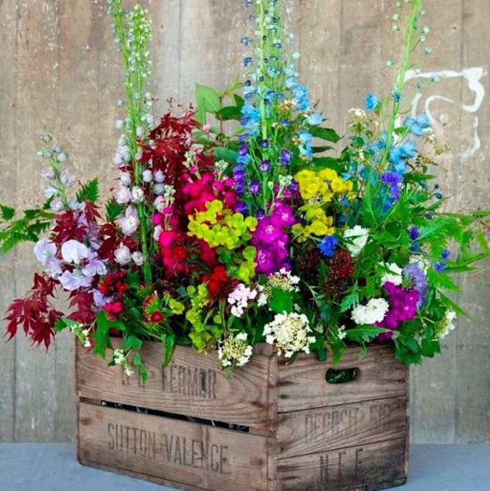 Уличные композиции в ящике