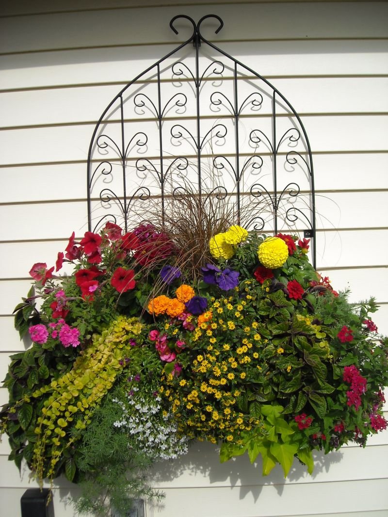 Подвесные клумбы для цветов