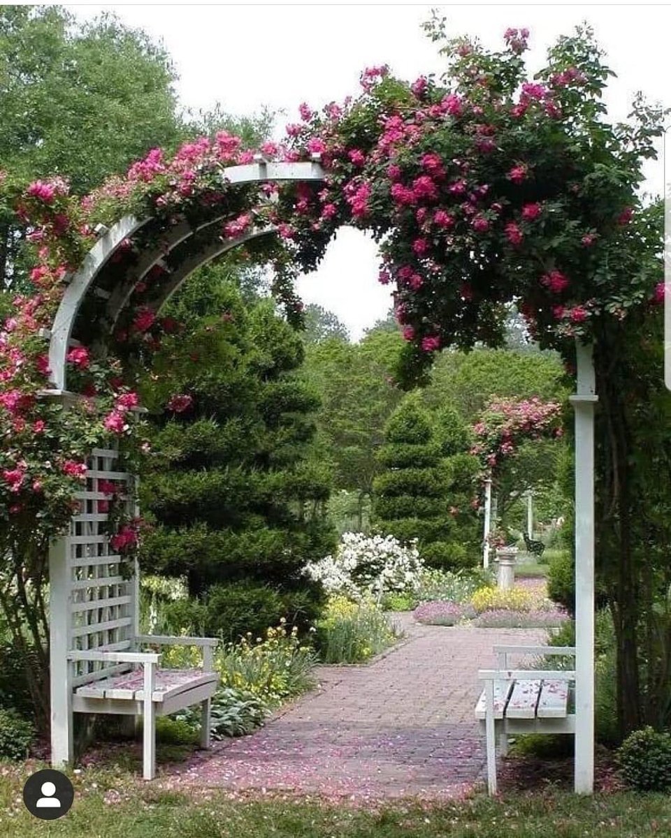 Арка для роз