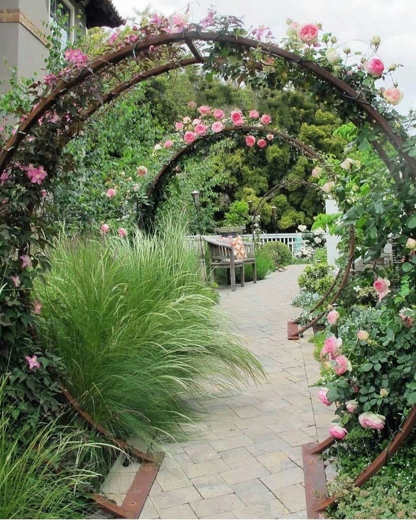 Арки, Берсо и перголы