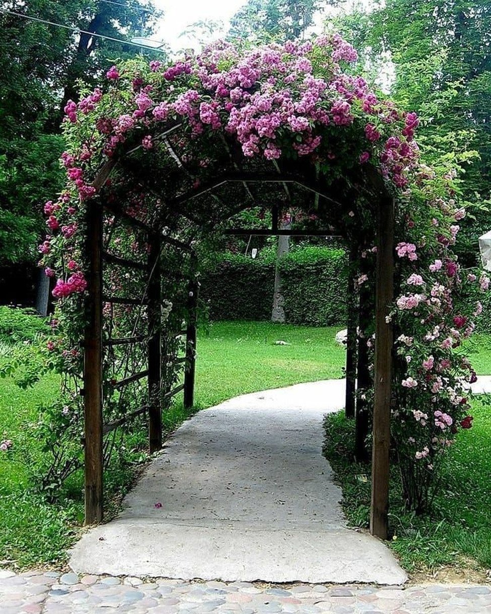 Пергола Берсо