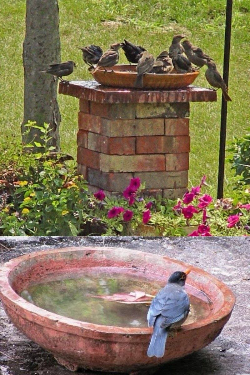 Поилка для птиц декоративная для сада