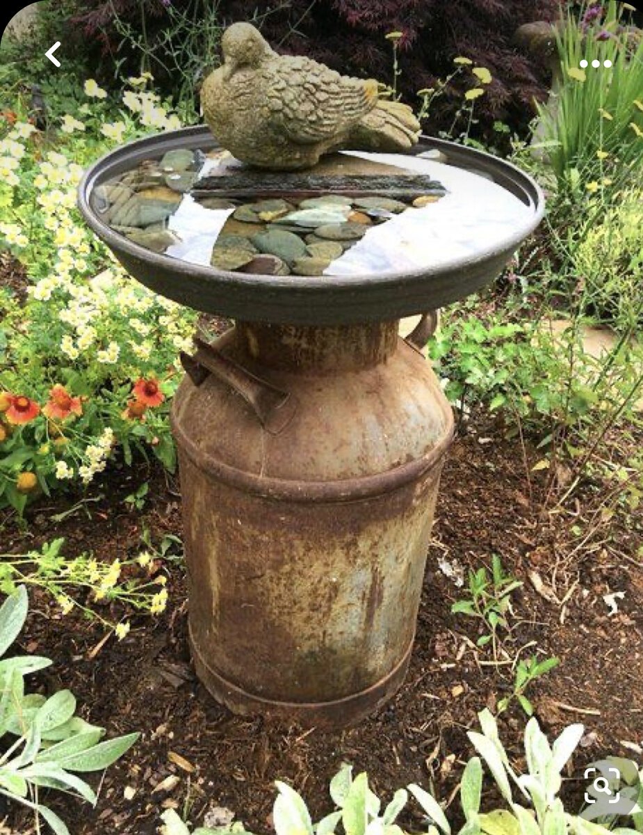 Купальня для птиц в саду