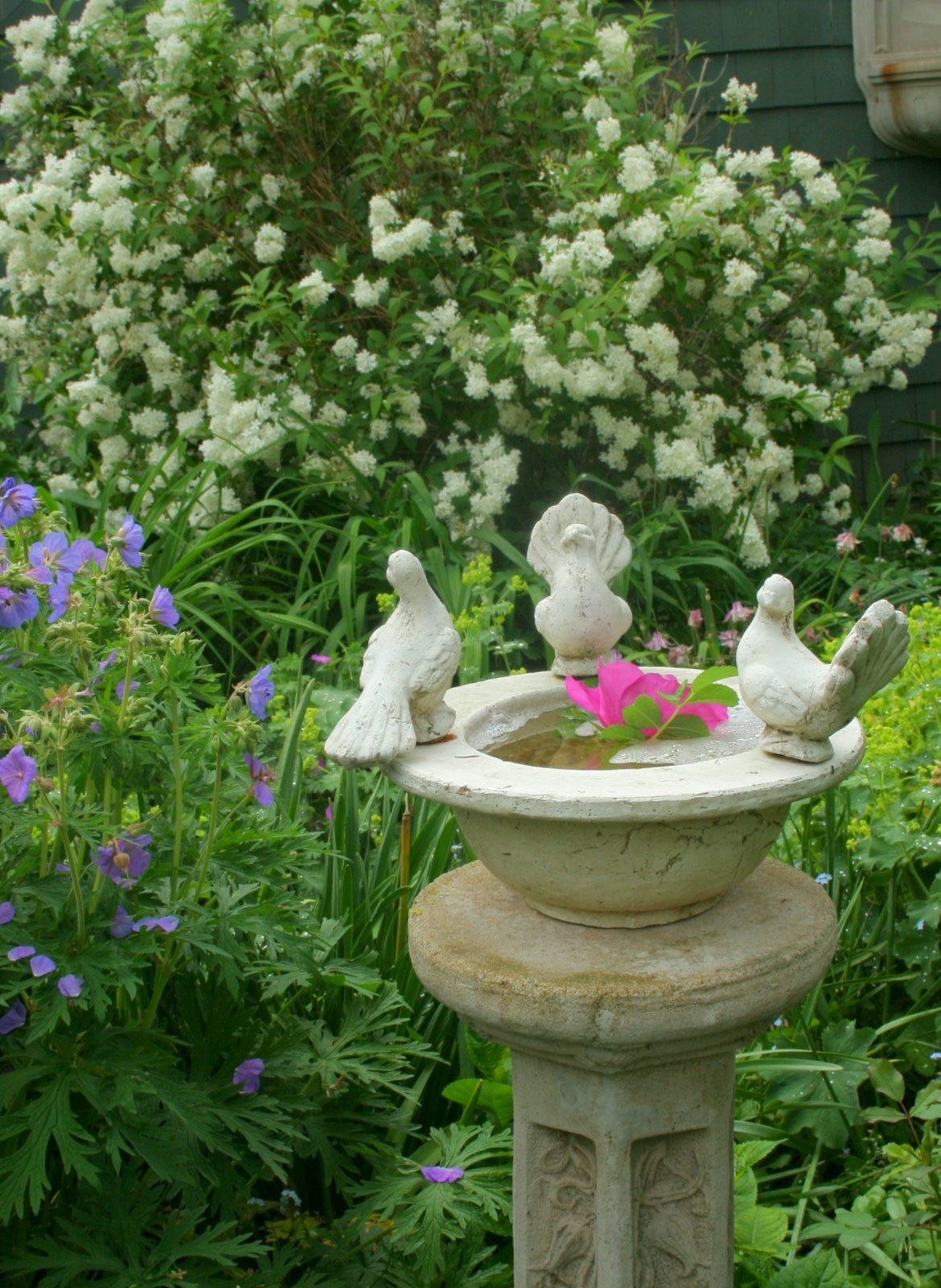 Поилка для птиц в саду