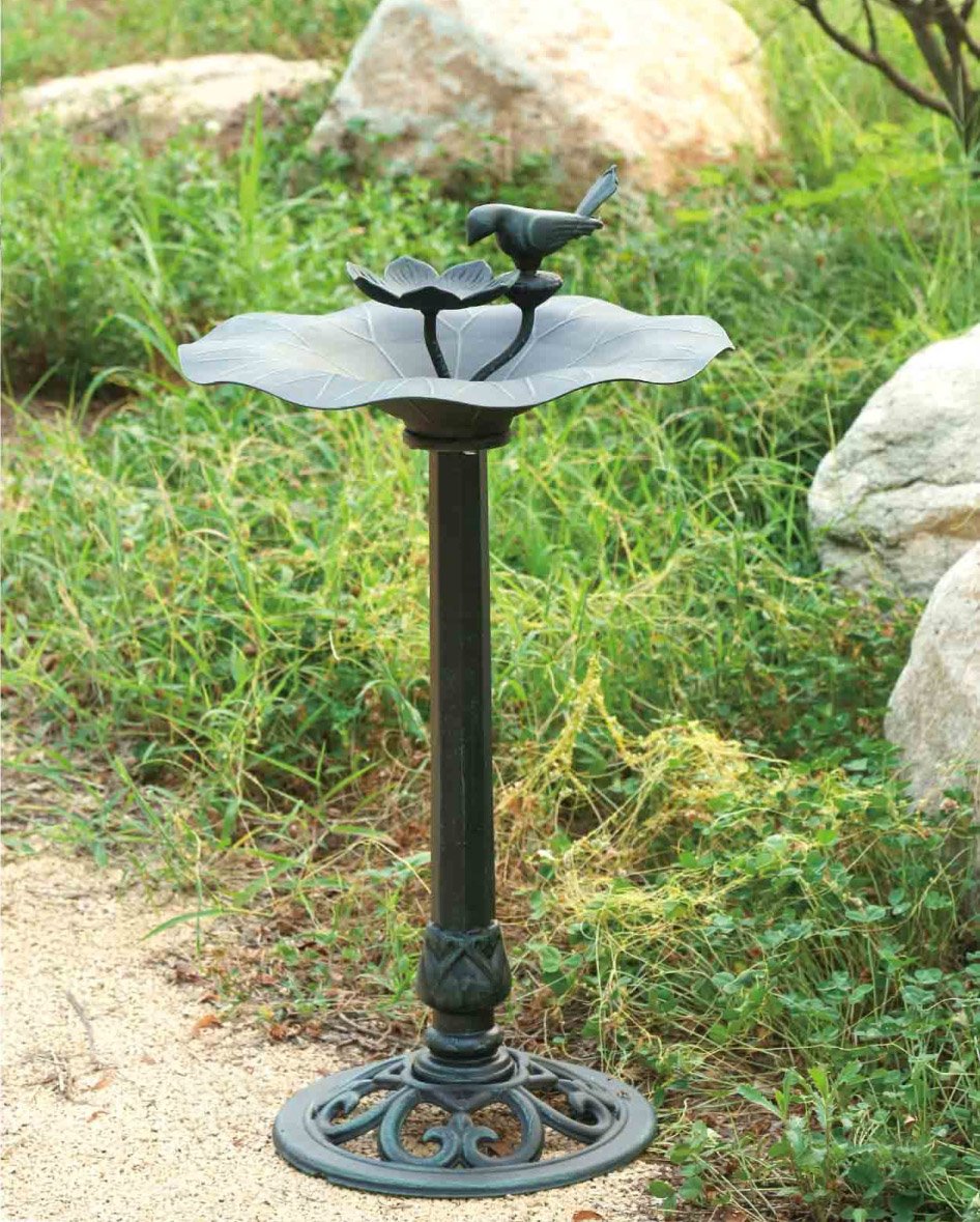 Купальня для птиц в саду