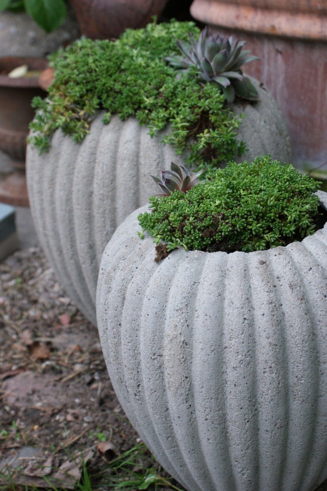 Вазоны уличные