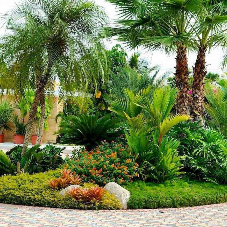 Ландшафтный дизайн с пальмами