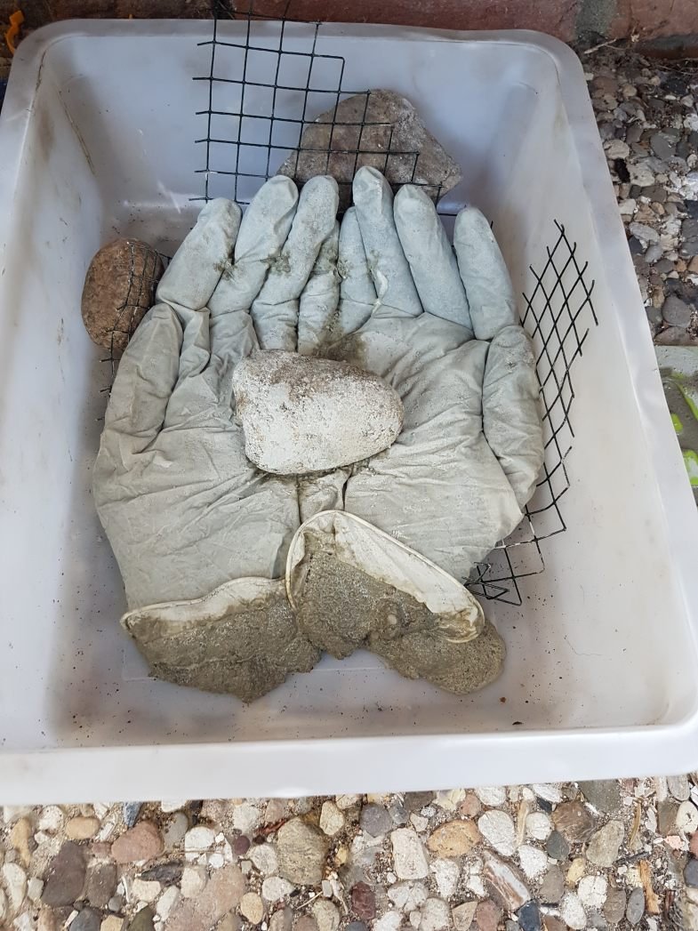 Изделия из цемента для сада