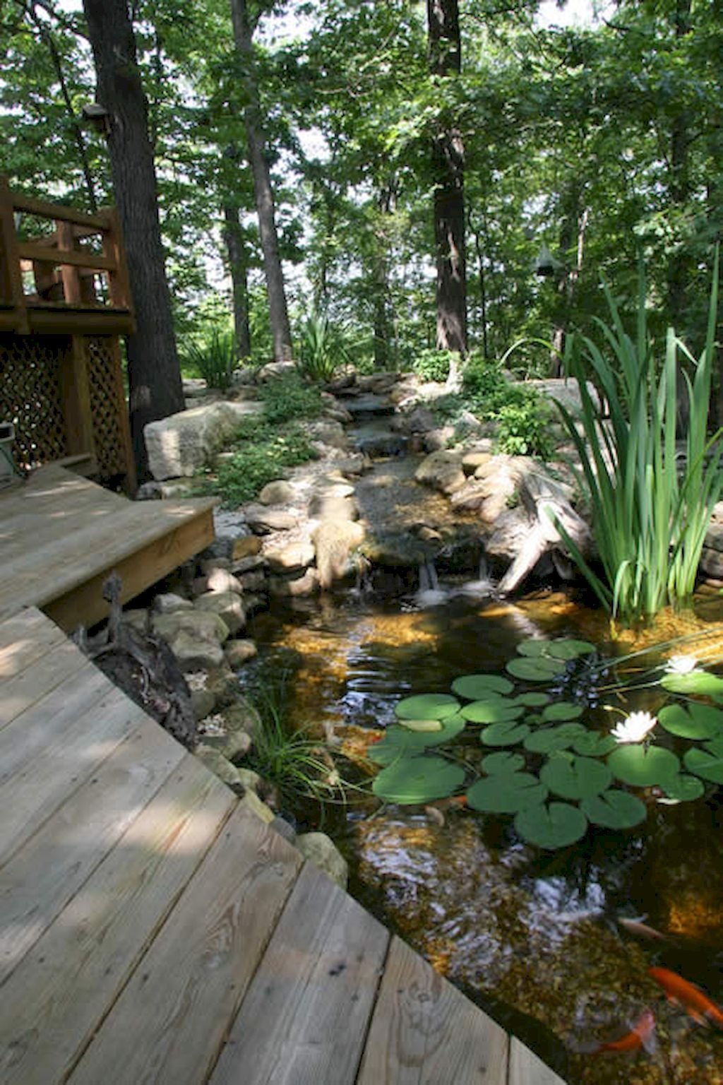 Ландшафт пруда