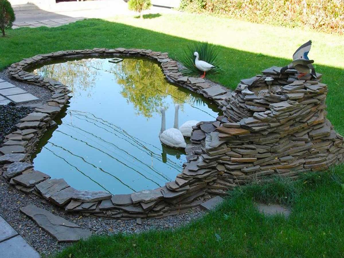 Огородный прудик