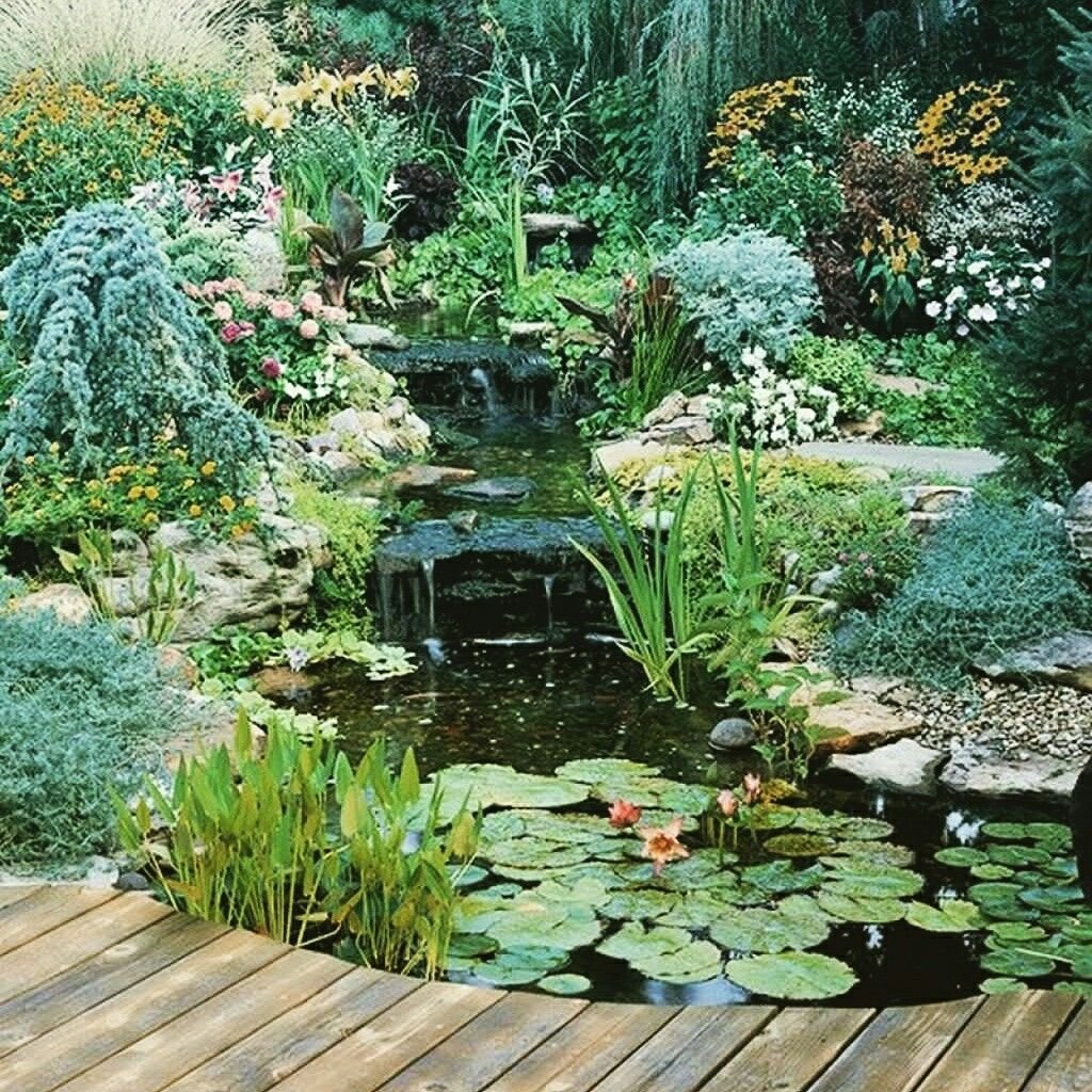 Ландшафтный сад нимфея парк Ангарск