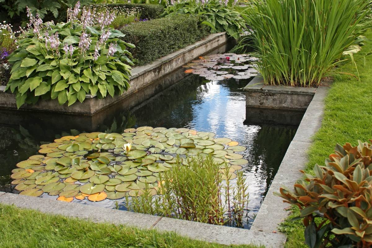 Прямоугольный прудик