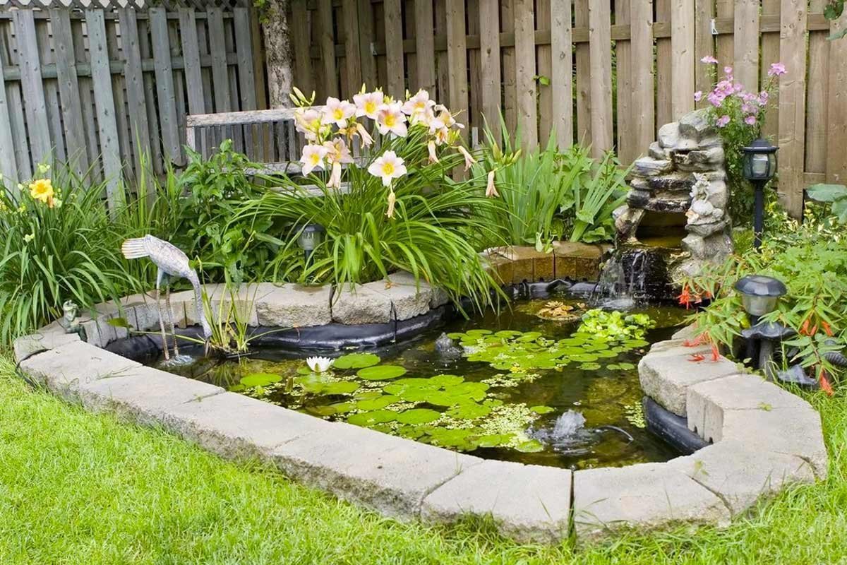 Клумба возле прудика