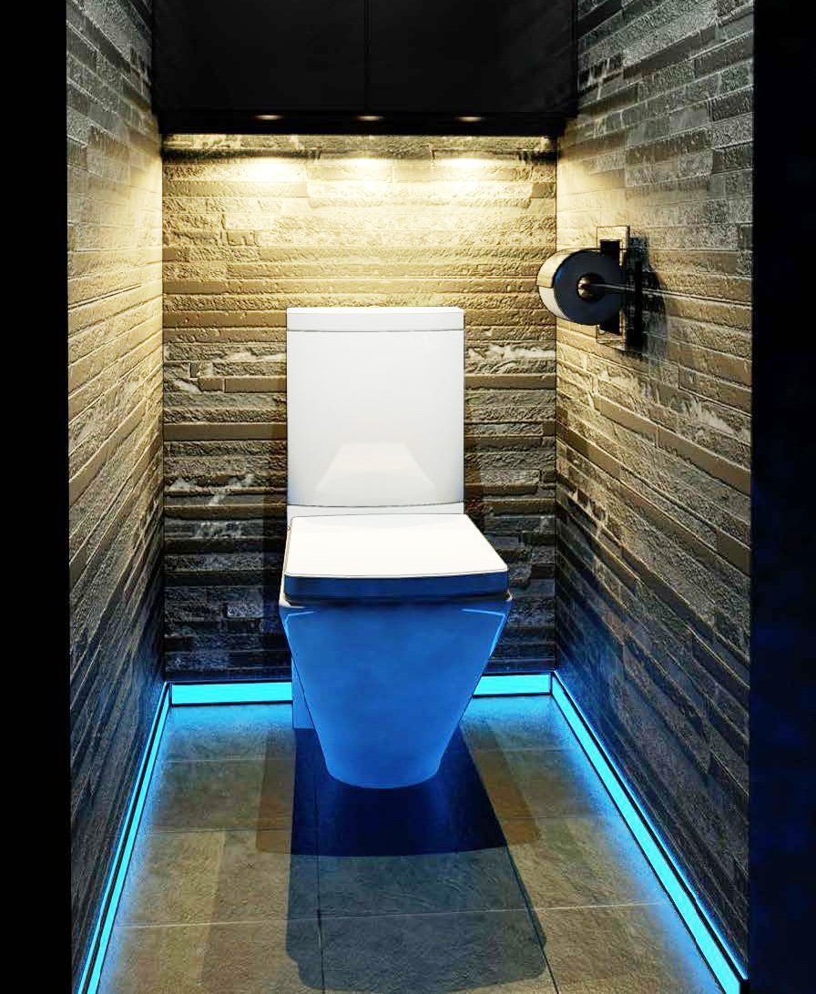 Интерьер туалетной комнаты