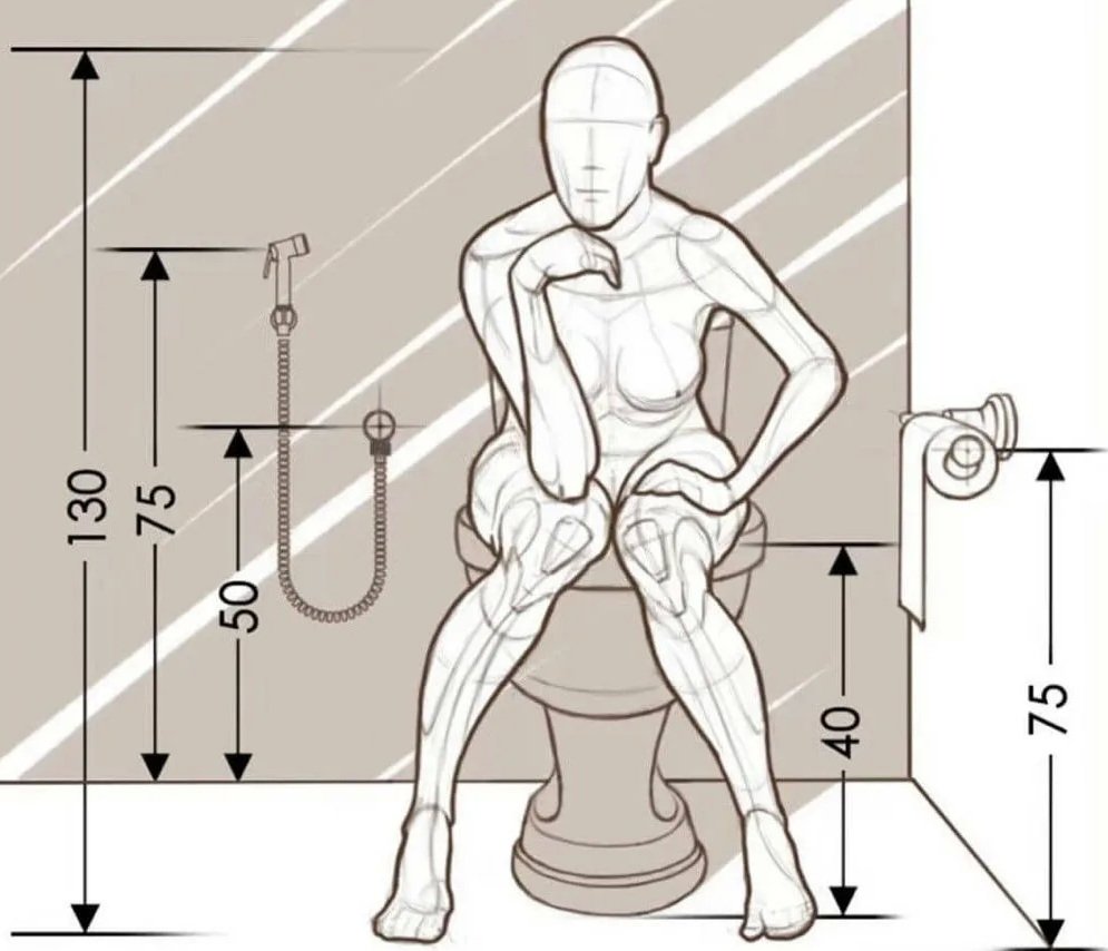 Эргономика унитаза