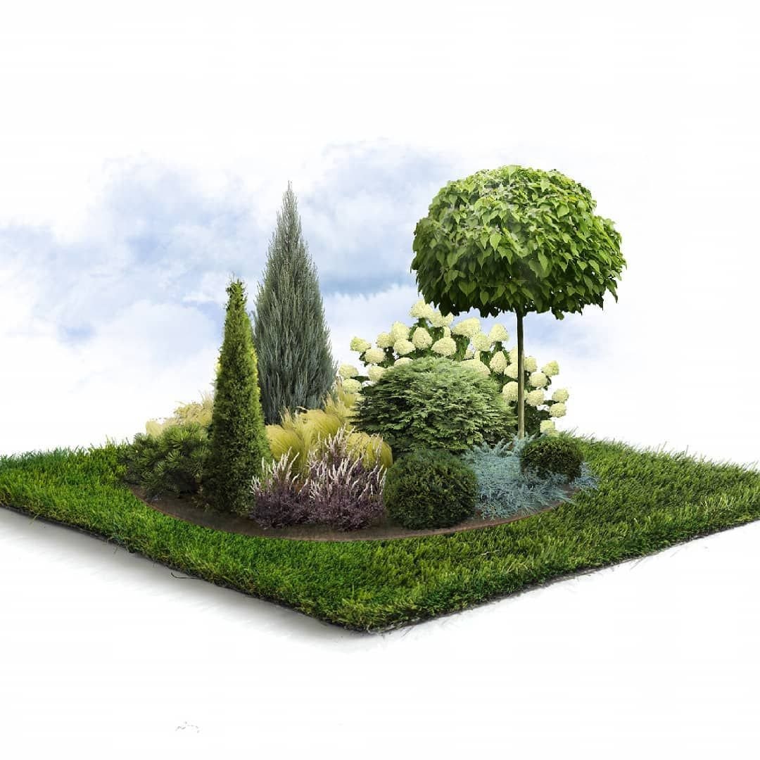 Готовые ландшафтные композиции