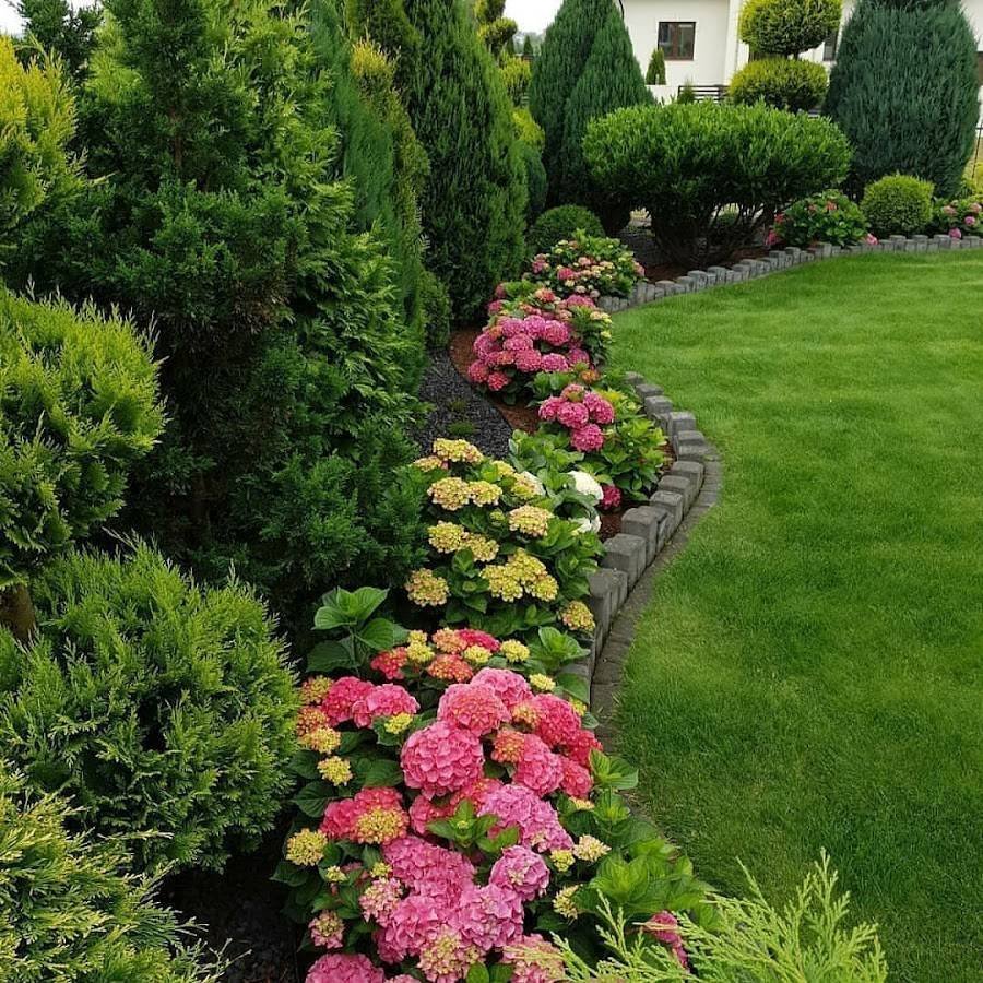 Красивый миксбордер с хвойными и кустарниками