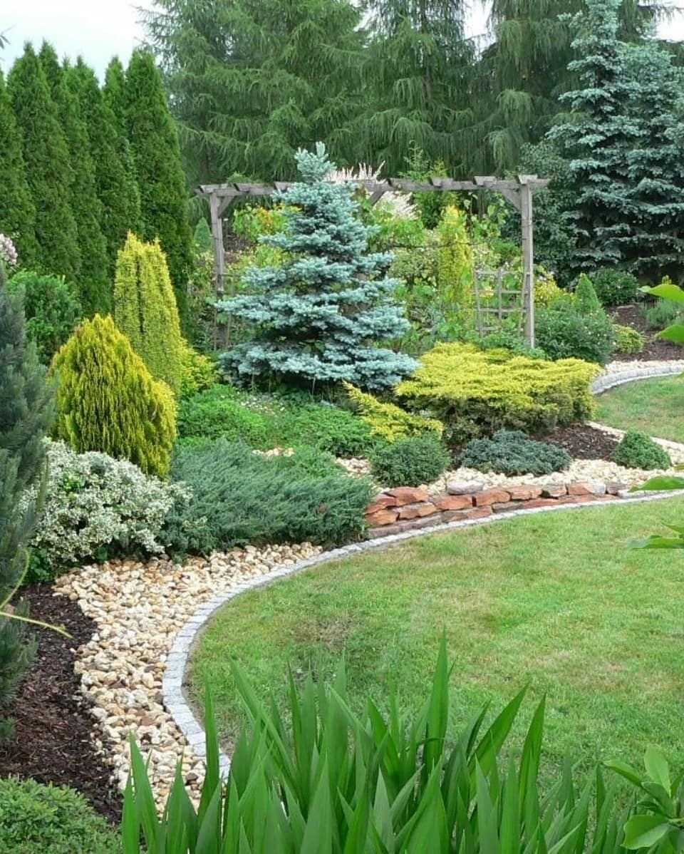 Миксбордер туя гортензия Барбарис можжевельник