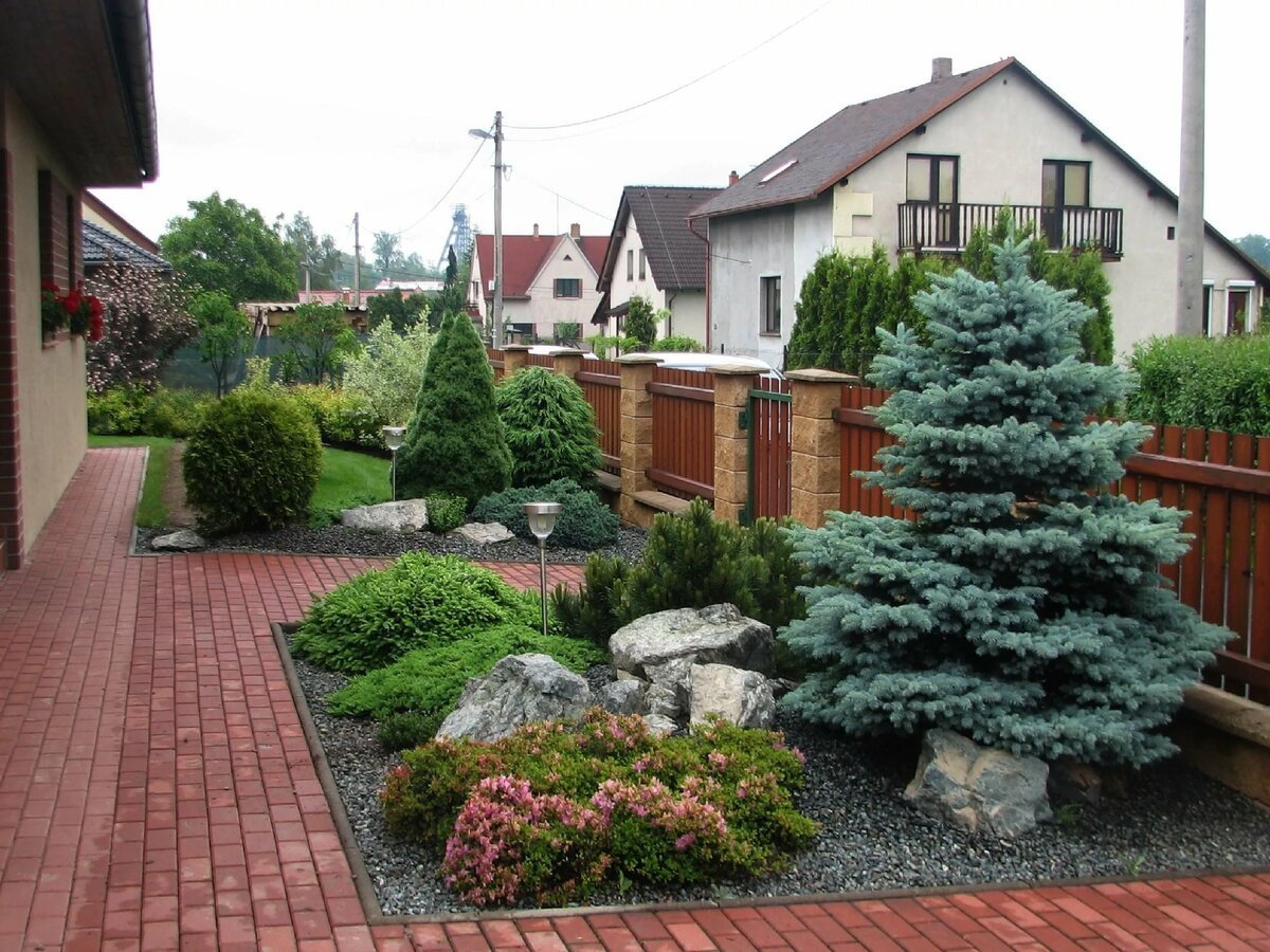 Хвойники в Лесном ландшафте