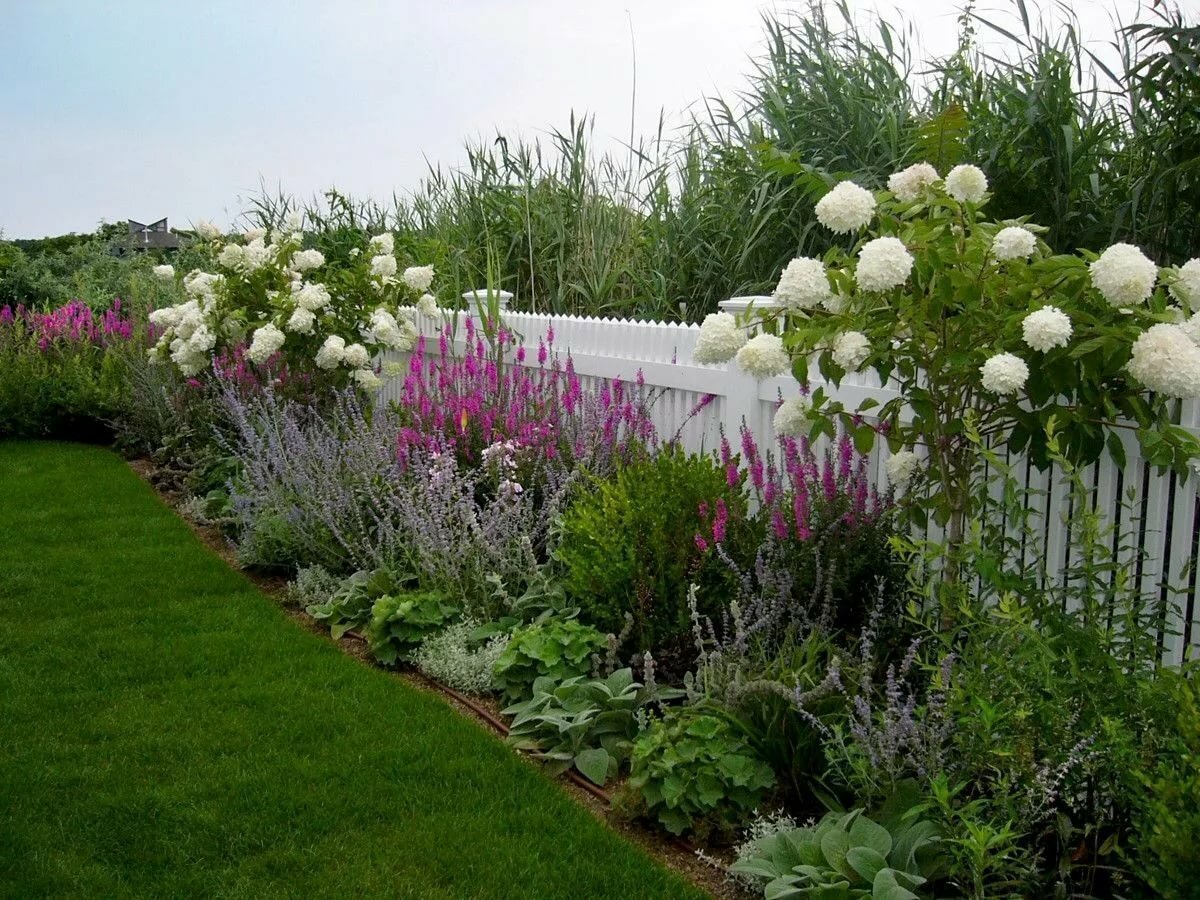 Миксбордер с пионами