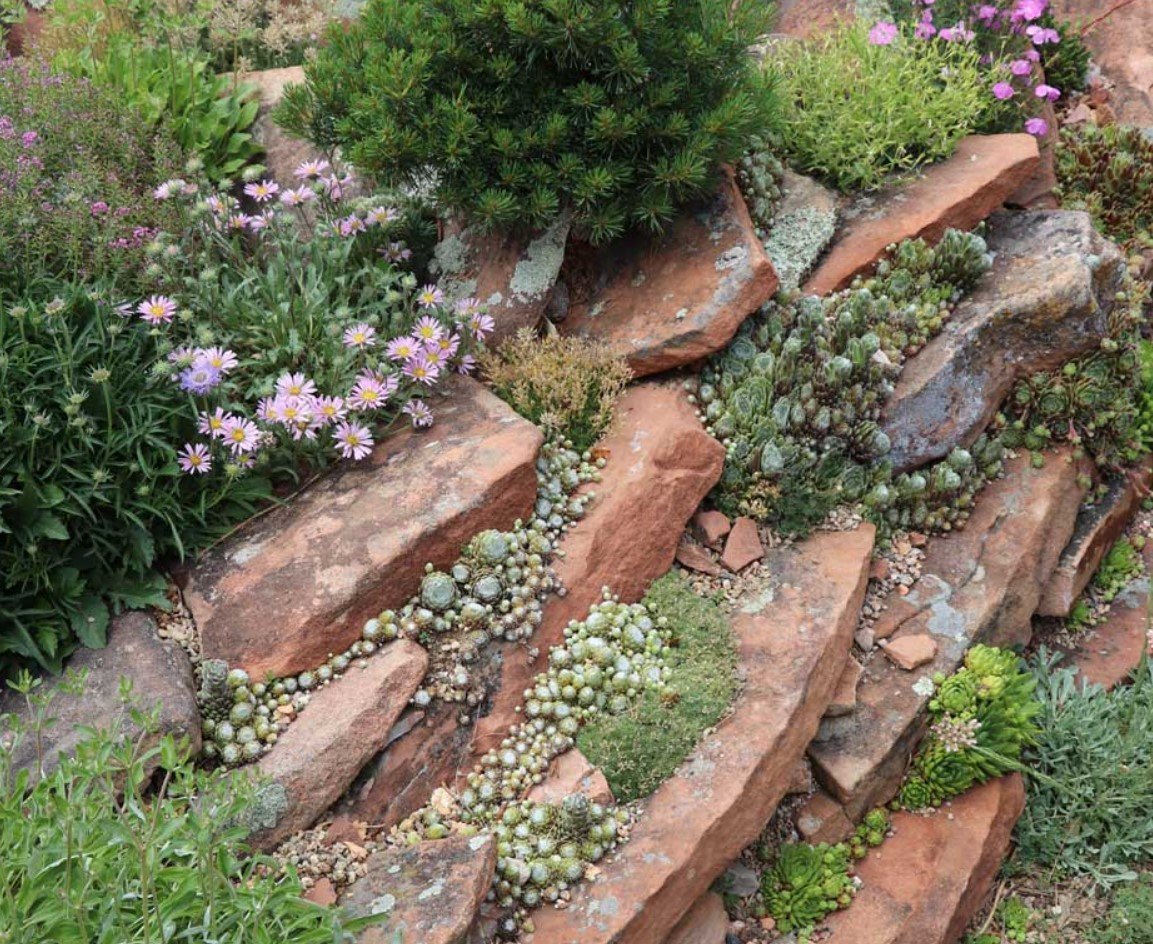 Альпинарий в ландшафтном дизайне