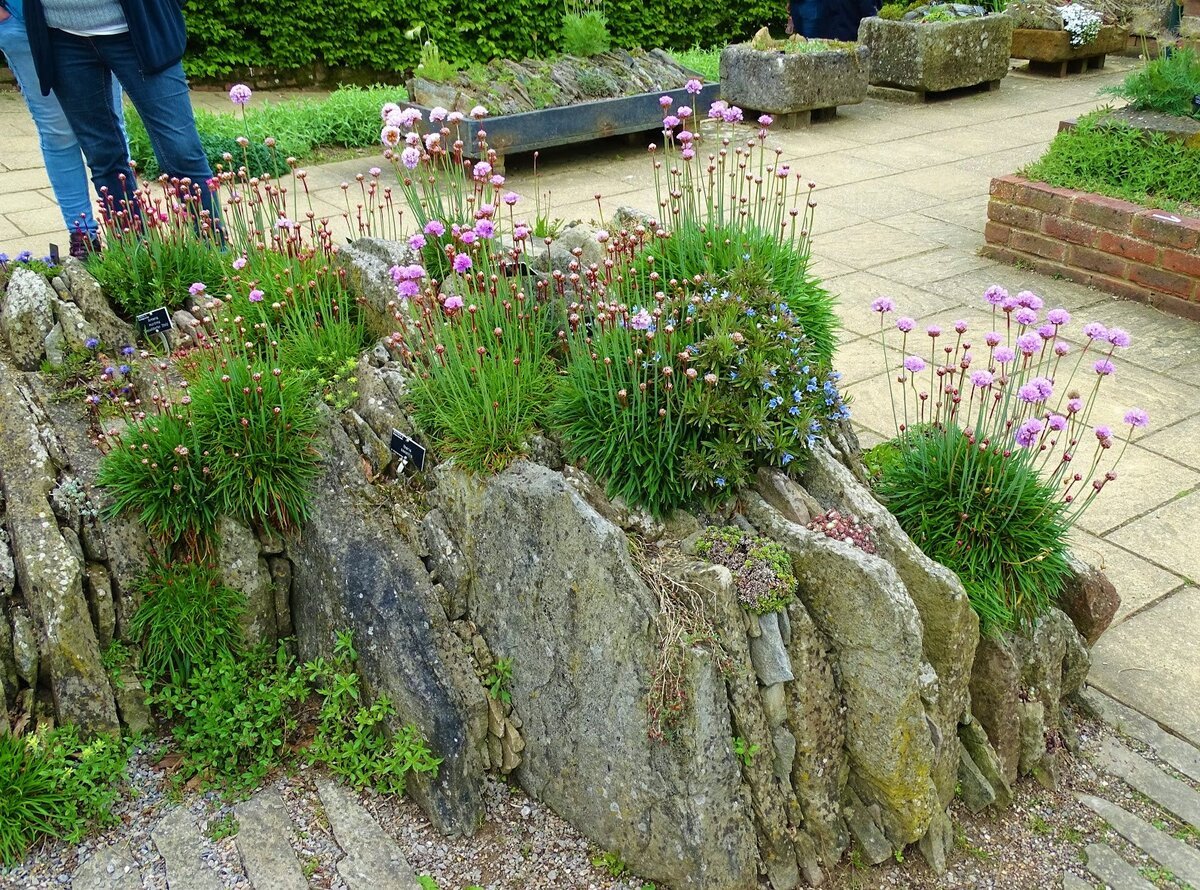 Евгений Тарасов Альпийские горки