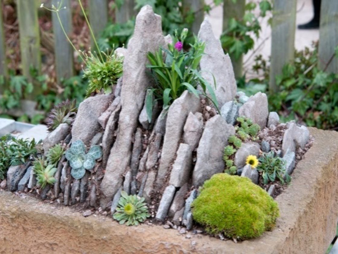 Рокарий чешская скалка