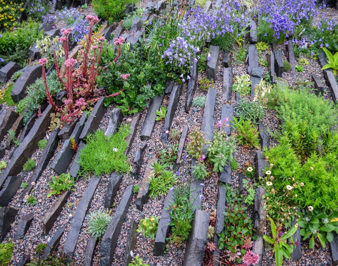 Чешская скалка Оксана Пискарева