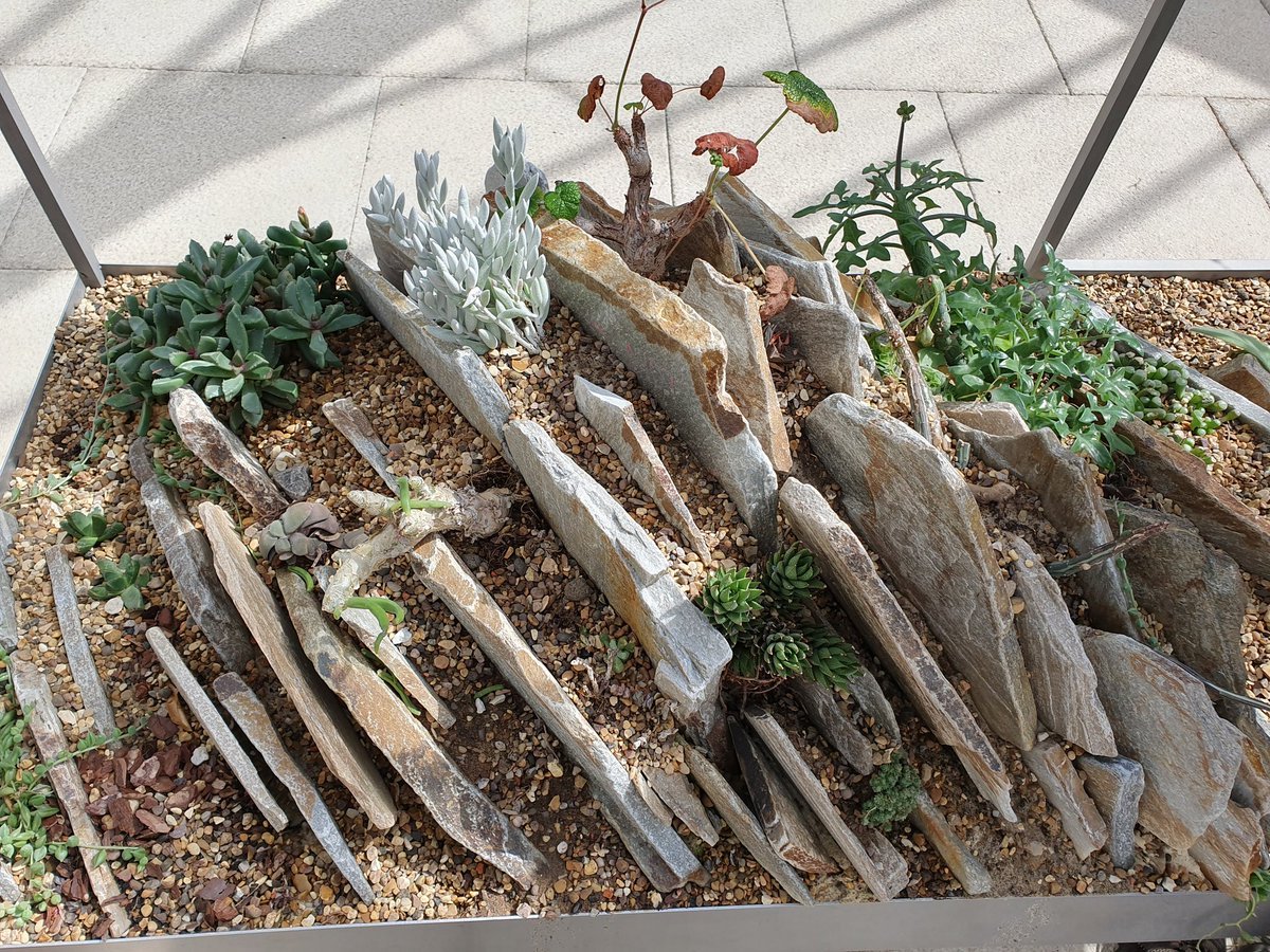 Чешская слоистая скалка