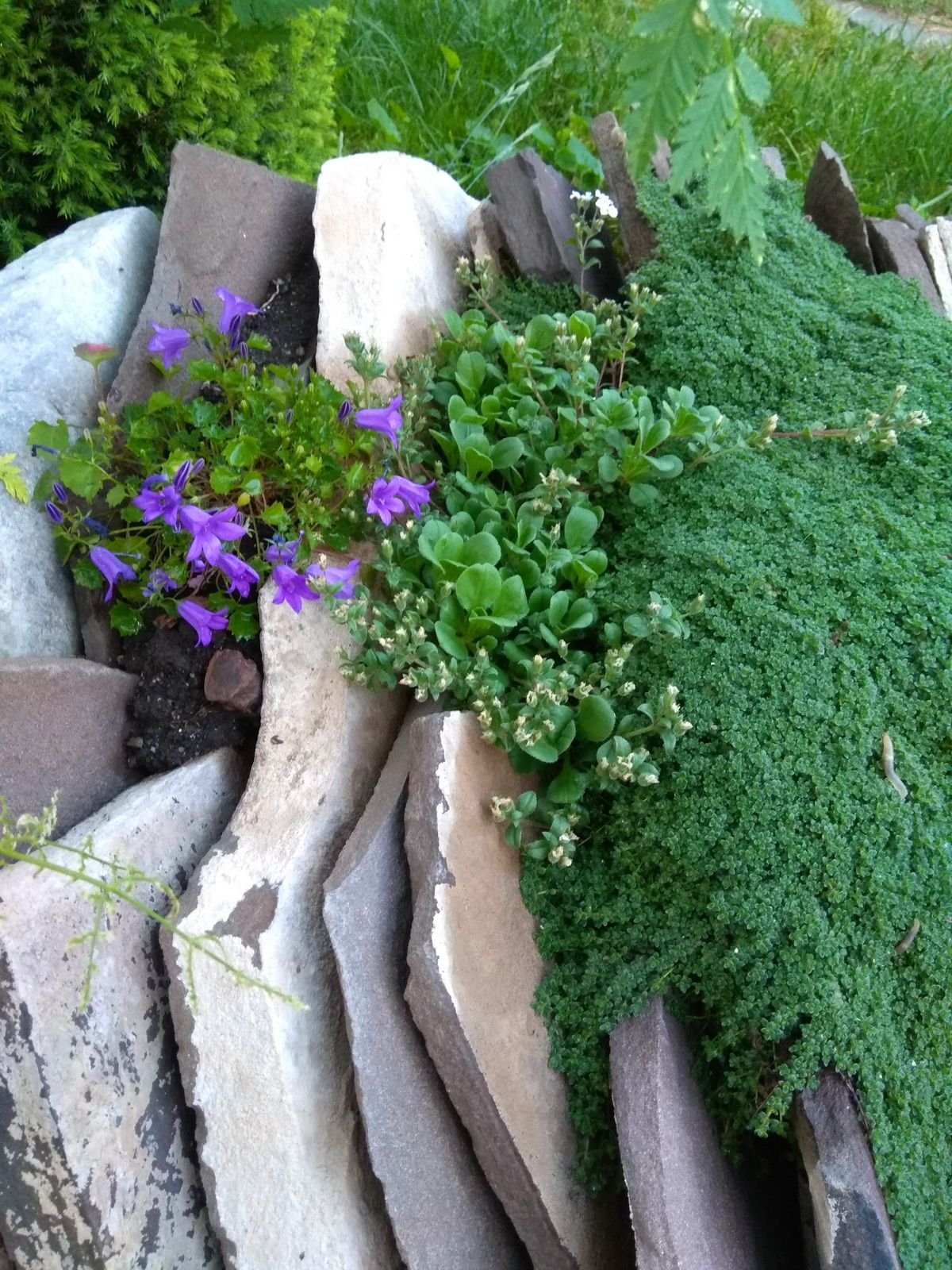 Чешская скалка Оксана Пискарева